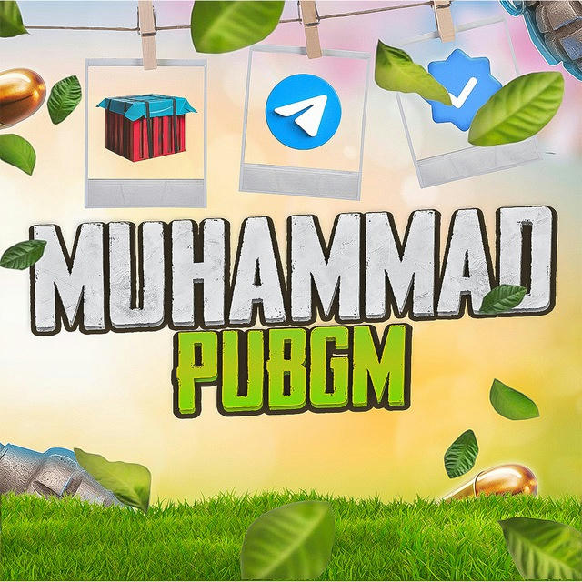 Muhammad PUBGM 🌱