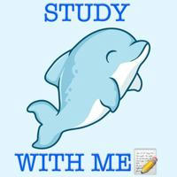 Study With Dolphin 🐬✨