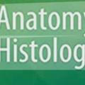 Anatomy & Histology 52