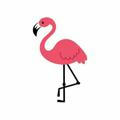 Flamingo Calls