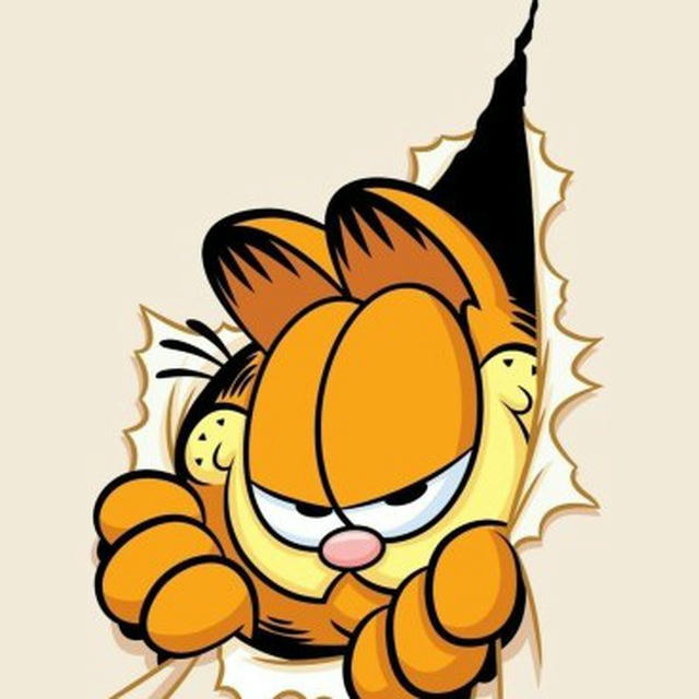 Garfield Vip Tanıtım