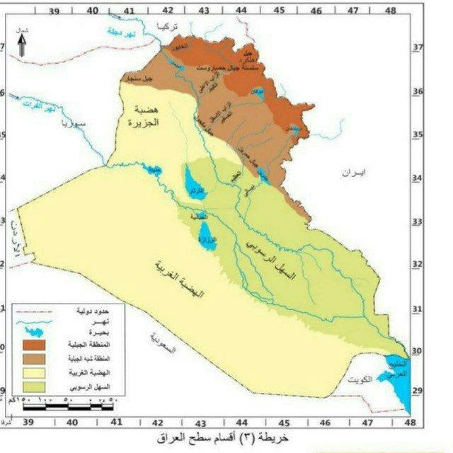 الاجتماعيات