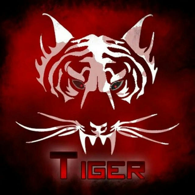 MR_Tiger_gamer🎲