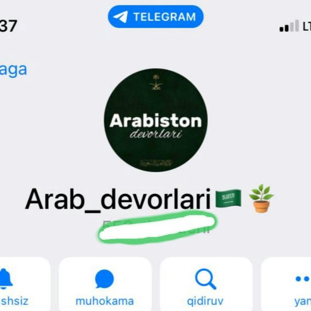 Arab_devorlari🇸🇦🪴
