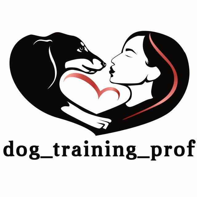 dog_training_prof