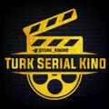 Turk Kino Seriallari aqsh filimlari ham bor