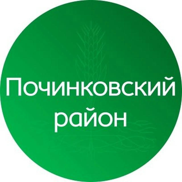 Починковский район