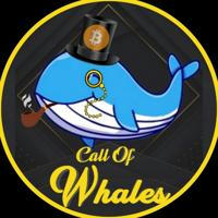Call Of Whales | BSC - ETH Reviews