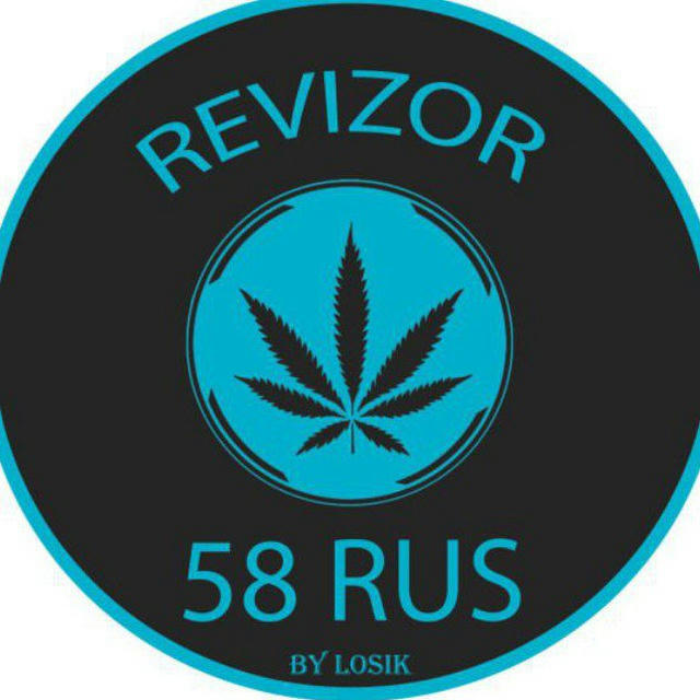 REVIZOR INFO