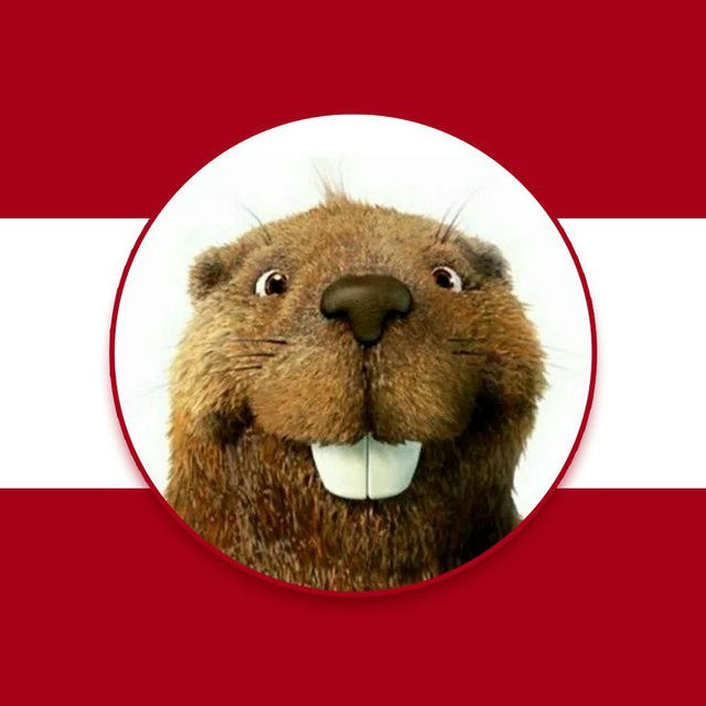 ŚMIESZNE ZWIERZĘTA
