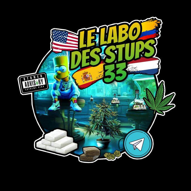 LE LABO DES STUP33 👨‍🔬🇲🇦