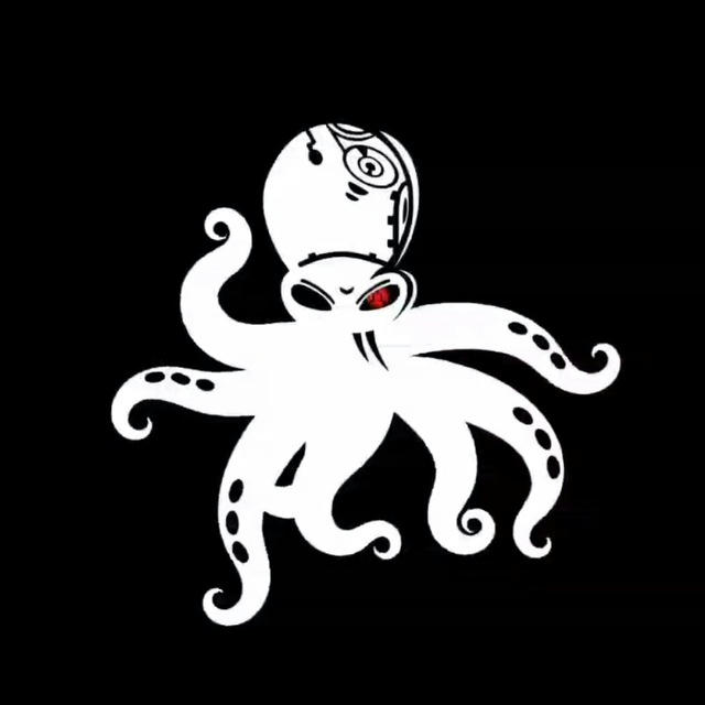 Octopus Service | Саsh