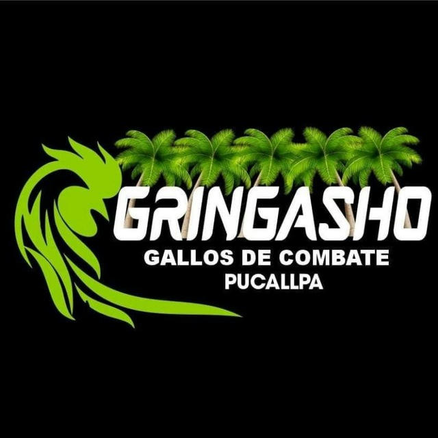 GRINGASHO GALLOS DE COMBATE...🐓🔥🐓