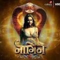 NAAGIN SE6