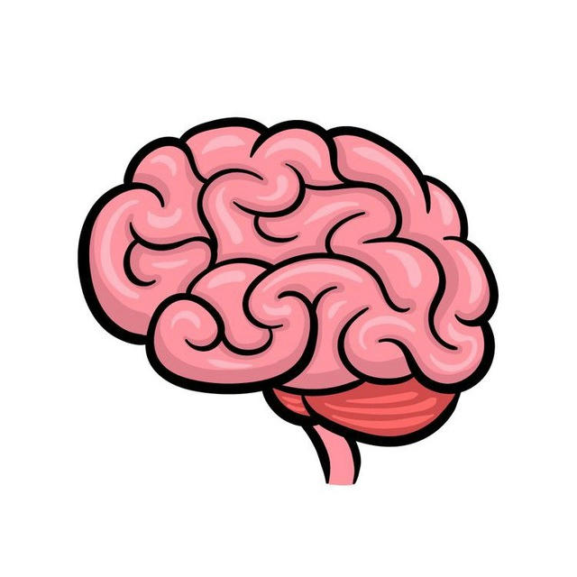 Brain Facts 🧠