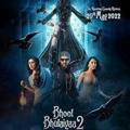 Bhool Bhulaiyaa 2 full movie in hindi 1080p (no recorded)