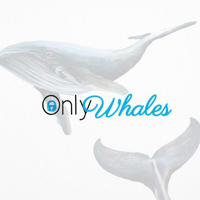 🐳OnlyWhales🐳