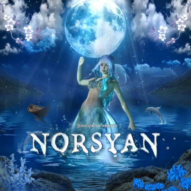 ⋆˙ Norsyan! OPEN, 24J. GA ADA KATALOG REKBER YA NORTH.