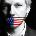 Wikileaks Files