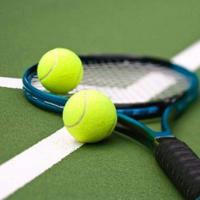 table_tennis_tips_report_free