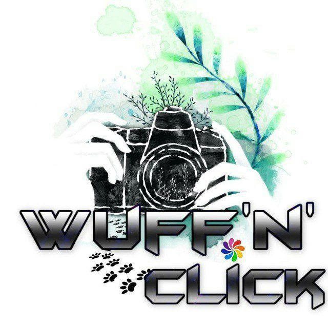 Wuff'n Click Info Kanal