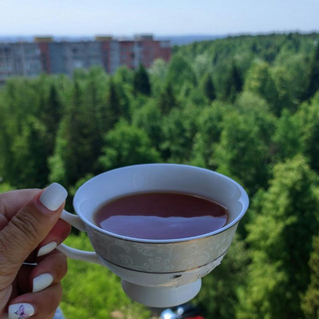 чай с мятой, лето и квартира у леса🪴