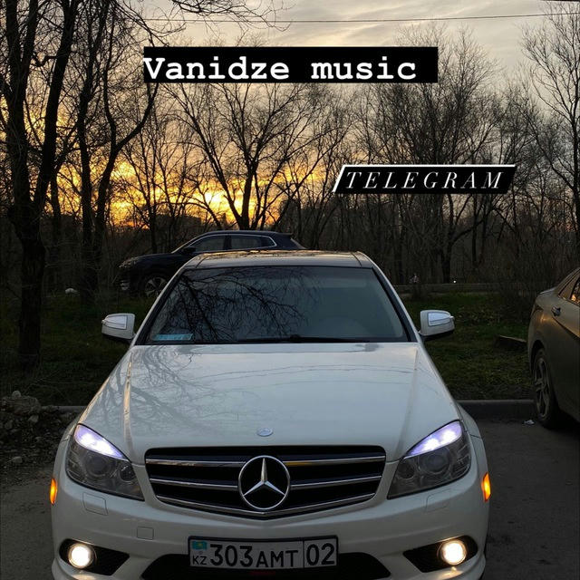 Vanidze_music