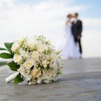 🇺🇦Тільки Весільні Пісні❤️💃🇺🇦