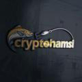 Crypto Hamsi News