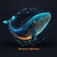 Binance Whales