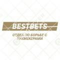 BestBets