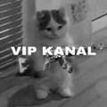 VIP KANAL