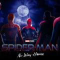 Spiderman No Way Home Sub Indo Bluray