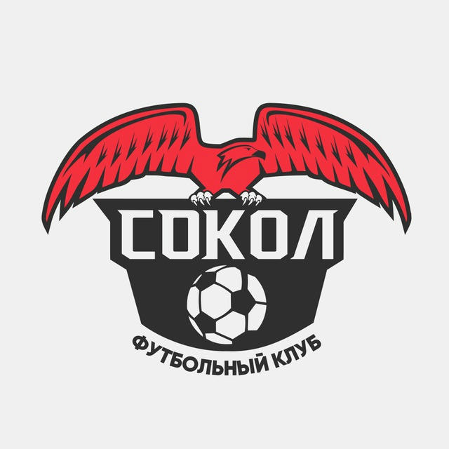 ФК «СОКОЛ», только детский