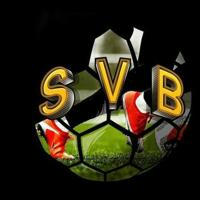 SVB Virtual FREE 📊🏆