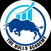 The Bulls academy