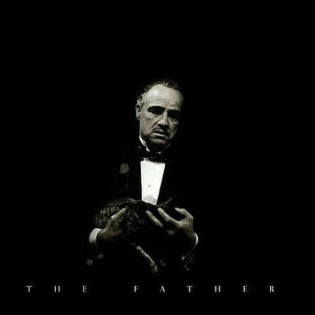 THE GODFATHER ™🎩