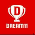 Dream11 T20 match gl+sl team provider