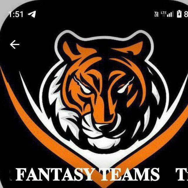 TIGER FANTASY TEAM🏏