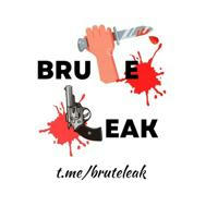 Brute Leaks