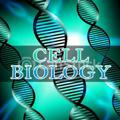 Cell Biology By Dr.Aya& DR.AMR knifaty