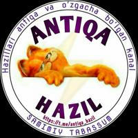 Antiqa hazil