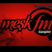 MEŞK FM