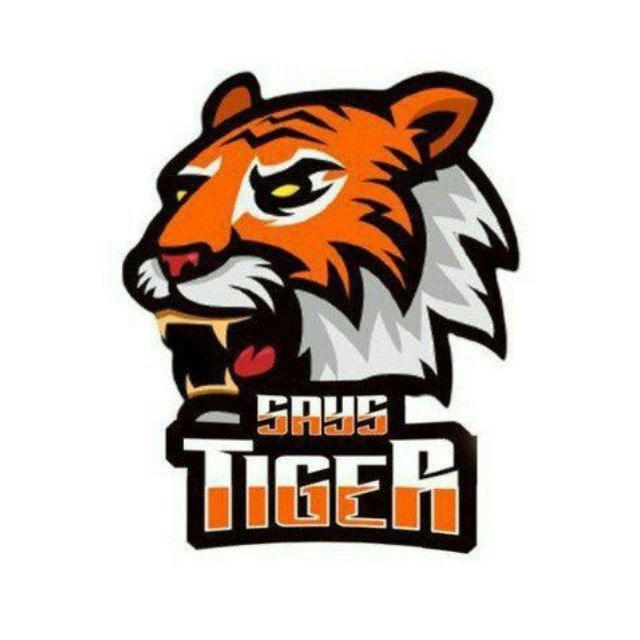 Tiger News | Cybersport 🇺🇿