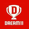 Dream 11 Fantastic Cricket