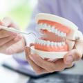 دورات في مجال الأسنان