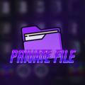 Private file | Standoff 2