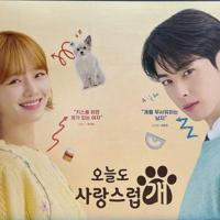 A Good Day To Be A Dog (Eng sub)
