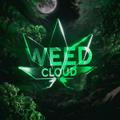 🌿WeedCloud | FREE LOGS🌿