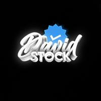 David's Public Stock